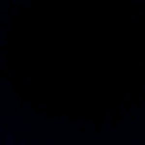 Meet your Posher, Delilah